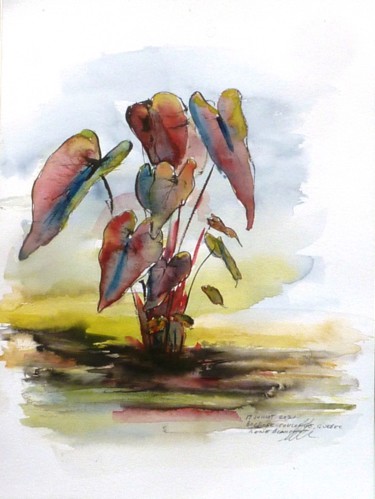 Dessin intitulée "Plante aquatique du…" par René Blanchet, Œuvre d'art originale, Encre