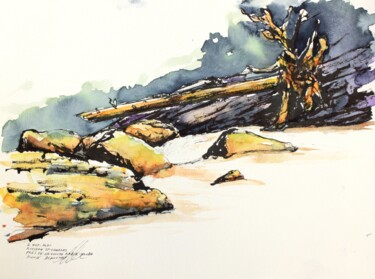 Dessin intitulée "L'arbre et sa souch…" par René Blanchet, Œuvre d'art originale, Encre
