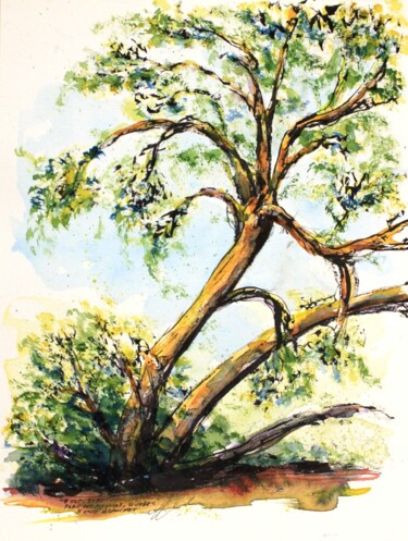 Desenho intitulada "Le pin tordu et dég…" por René Blanchet, Obras de arte originais, Tinta