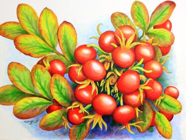 Painting titled "Fruits de rosier sa…" by René Blanchet, Original Artwork, Ink