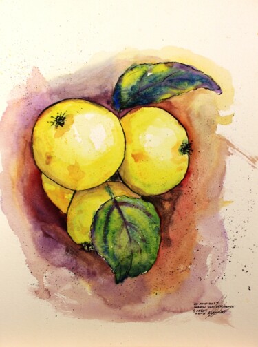 Dessin intitulée "Pommes du jardin Va…" par René Blanchet, Œuvre d'art originale, Encre