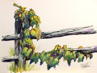 Dessin intitulée "Vigne sur la clôtur…" par René Blanchet, Œuvre d'art originale, Encre