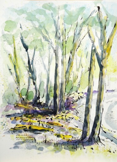 Drawing titled "Berge boisée sur le…" by René Blanchet, Original Artwork, Watercolor