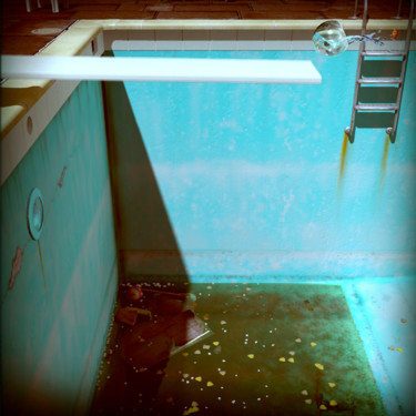 David's Pool 09g-05 33x48 cm ©2006 par René Bui