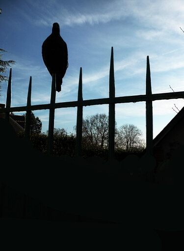 Fotografie getiteld "" LE PIGEON à SIX P…" door Philippe Renou, Origineel Kunstwerk, Digitale fotografie