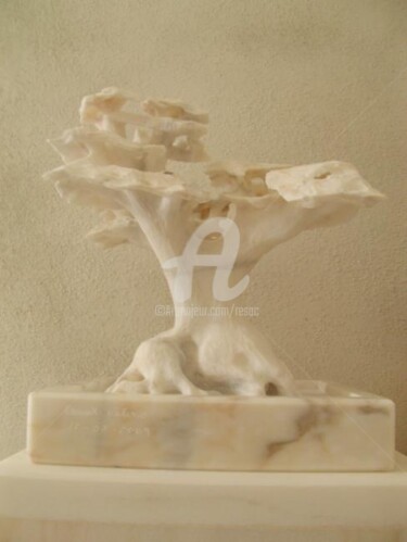 Sculpture intitulée "bonsai" par Cesar Valerio, Œuvre d'art originale, Pierre