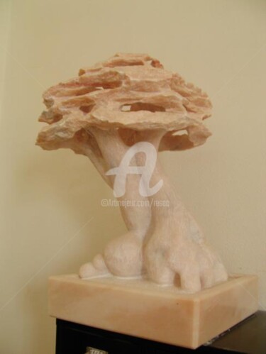 Sculpture titled "Bonsai Three 68" by Cesar Valerio, Original Artwork, Stone