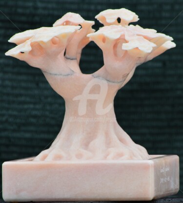 Sculpture intitulée "bonsai" par Cesar Valerio, Œuvre d'art originale, Pierre