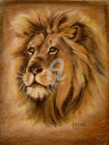 Dessin intitulée "lion" par Resan, Œuvre d'art originale