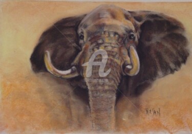 Dessin intitulée "ELEPHANT" par Resan, Œuvre d'art originale