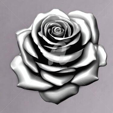 Arts numériques intitulée "Silver Rose" par Reskatorsilver, Œuvre d'art originale, Impression numérique