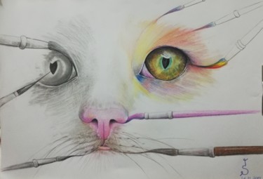 "Cat" başlıklı Tablo İShak Şafak tarafından, Orijinal sanat, Tebeşir