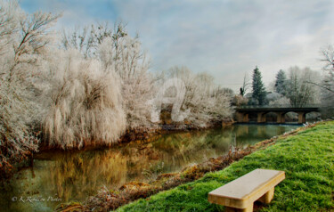 Fotografía titulada "GIVRE BANC" por Karine Revillon, Obra de arte original, Fotografía digital