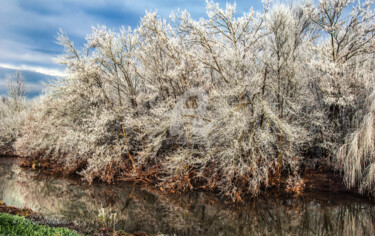 Photographie intitulée "GIVRE" par Karine Revillon, Œuvre d'art originale