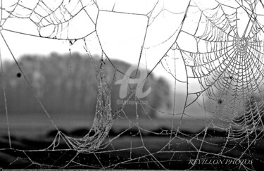 Photographie intitulée "toile d'araignée" par Karine Revillon, Œuvre d'art originale