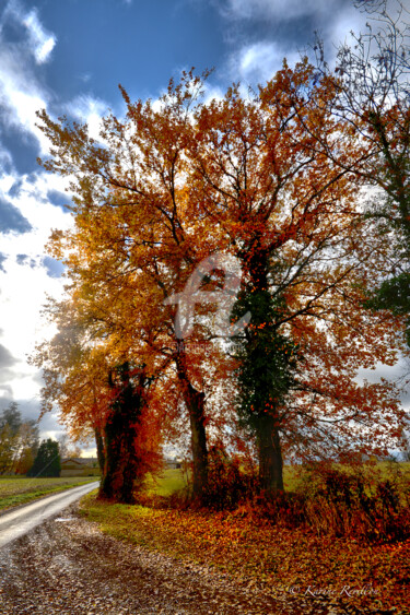 Fotografie getiteld "AUTOMNE" door Karine Revillon, Origineel Kunstwerk