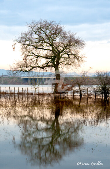 Photographie intitulée "SAONE" par Karine Revillon, Œuvre d'art originale