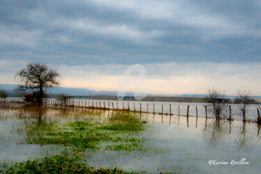 Photography titled "PONT/SAONE" by Karine Revillon, Original Artwork