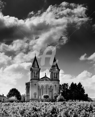 Photographie intitulée "Régnié-Durette" par Karine Revillon, Œuvre d'art originale, Photographie numérique