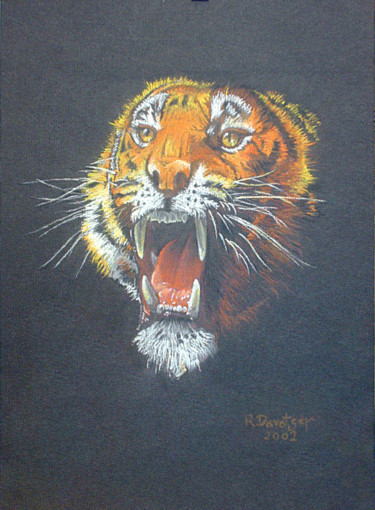 Drawing titled "Tiger" by Reza Davatgar, Original Artwork, Pastel