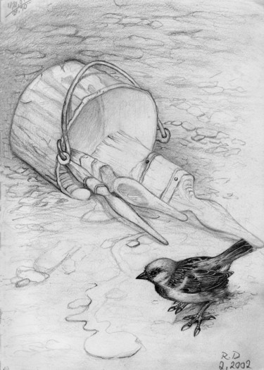 Drawing titled "sparrow" by Reza Davatgar, Original Artwork, Pencil