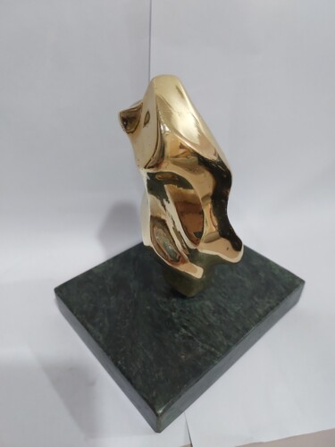 Sculptuur getiteld "Escultura abstrata…" door Ricardo Navarro, Origineel Kunstwerk, Bronzen