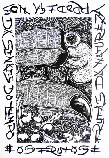 Disegno intitolato "TUCANOS/ TOUCANS" da Ricaru Araujo, Opera d'arte originale, Inchiostro