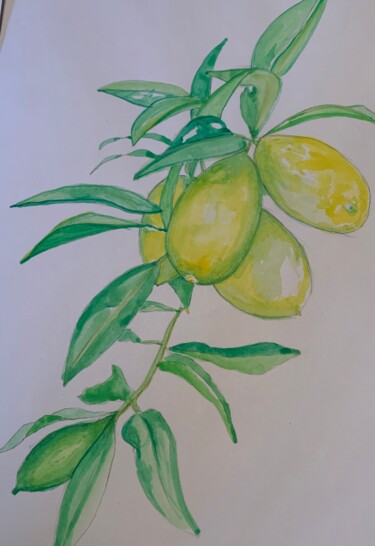 Peinture intitulée "Lemons" par Richard Mangold, Œuvre d'art originale, Aquarelle