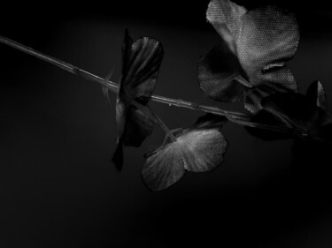 Photographie intitulée "Beautiful Silence" par Richa Shiv Mangal, Œuvre d'art originale, Gouache