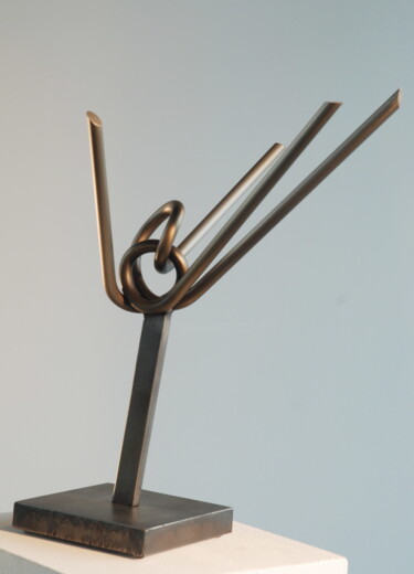 Скульптура под названием "Knoten" - Richard Blaas, Подлинное произведение искусства, Металлы