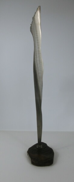 「Skulptur o.T.」というタイトルの彫刻 Richard Blaasによって, オリジナルのアートワーク, 金属