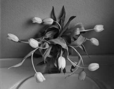 Fotografia intitolato "Tulips" da Richard Eugene Puckett, Opera d'arte originale, fotografia a pellicola