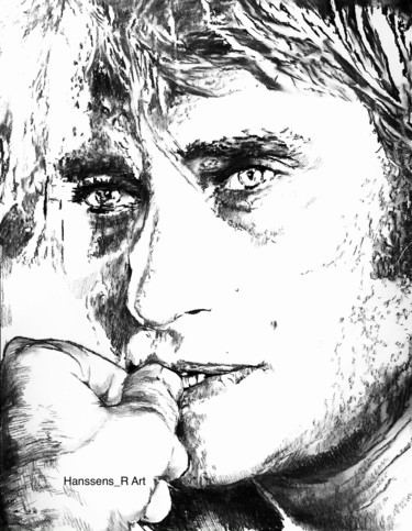 Disegno intitolato "Johnny Hallyday" da Richard Hanssens, Opera d'arte originale, Carbone