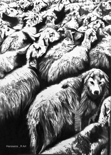 Zeichnungen mit dem Titel "Loup entres moutons" von Richard Hanssens, Original-Kunstwerk, Kohle