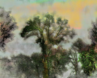 Arte digitale intitolato "Branches" da Richard Dodds, Opera d'arte originale, Pittura digitale