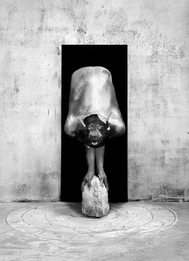 Фотография под названием "koma-domestication.…" - Richard Fremont, Подлинное произведение искусства
