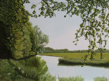 Schilderij getiteld "Hollandse Biesbosch…" door Richard Post, Origineel Kunstwerk, Olie