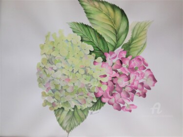 Painting titled ""Fleurs d'hortensia…" by Solveig Gnéma-Richard, Original Artwork, Watercolor