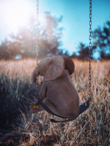 "Bébé éléphant sur u…" başlıklı Dijital Sanat Rigaud Mickaël (Gen Z) tarafından, Orijinal sanat, Fotoşoplu fotoğrafçılık