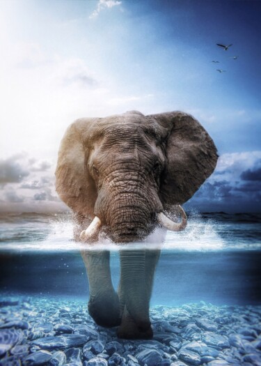 Arts numériques intitulée "Un éléphant marchan…" par Rigaud Mickaël (Gen Z), Œuvre d'art originale, Photographie manipulée