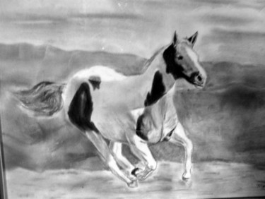 Dessin intitulée "le Mustang sauvage" par A Volpa, Œuvre d'art originale, Autre