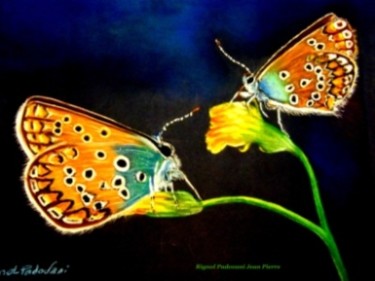 제목이 "les papillons"인 그림 A Volpa로, 원작, 다른