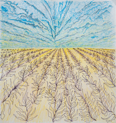 Drawing titled "FIELD - square grap…" by Rimma Savina, Original Artwork, Conté