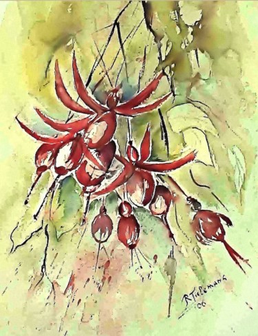 Картина под названием "Fuchsia, aquarel 50…" - Rita Tielemans, Подлинное произведение искусства, Акварель