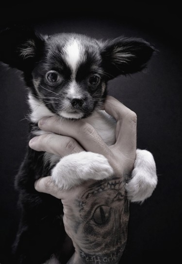 Pablo Photography titled "Pablo" by Rivierakris, Original Art, Digital Photography