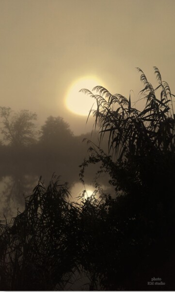 Photographie intitulée "Dans la brume" par Rm Studio, Œuvre d'art originale, Photographie numérique