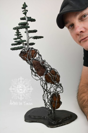 Escultura titulada "Float Bonsai  from…" por Artiste Les Tordus, Obra de arte original, Metales