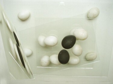 Photography titled "eggsplanation2" by Rob Arbouw, Original Artwork