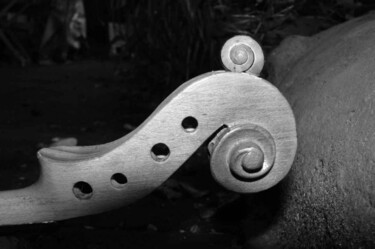 Photography titled "Fiddle-snake 1" by Rob Arbouw, Original Artwork