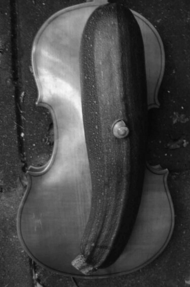 Photography titled "Fiddle-snake" by Rob Arbouw, Original Artwork